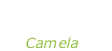 “Cuando zarpa el amor” Camela